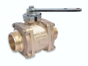 2.0 in. Generation II Swing-Out Valve (Body Only) with Stainless Ball