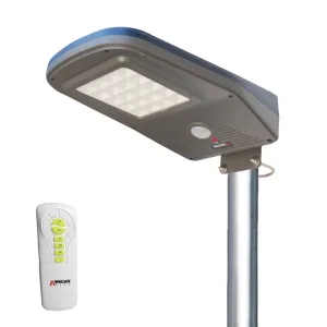 Solar   LED Floodlight 3000